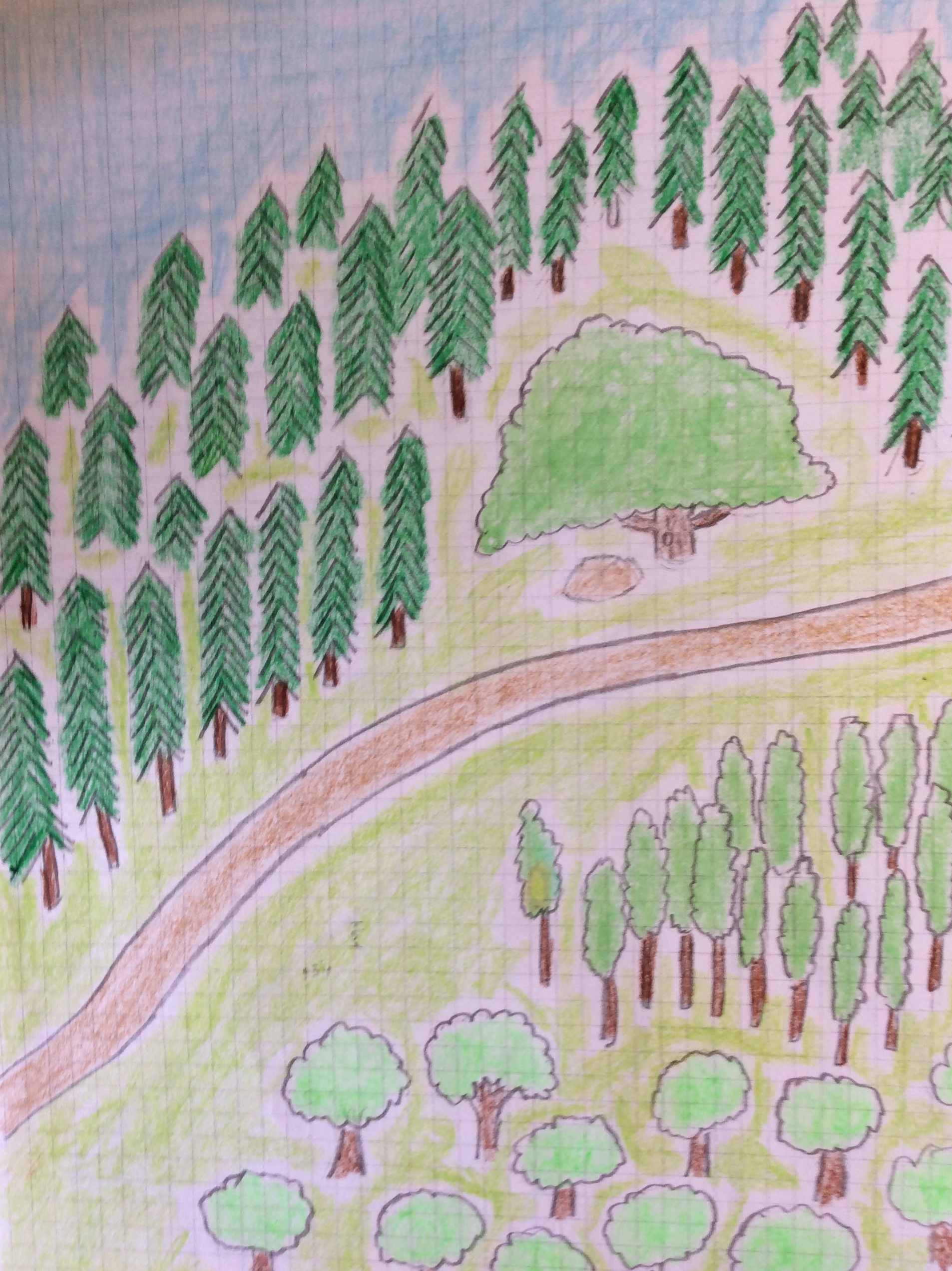 The Oak by the Granite Rock